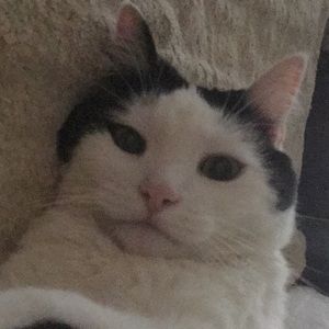 Meet your Posher, Kathy